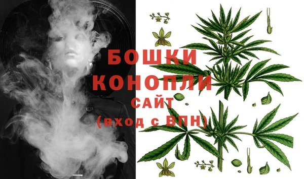 эйфоретик Баксан
