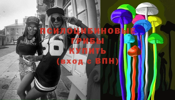 эйфоретик Белокуриха